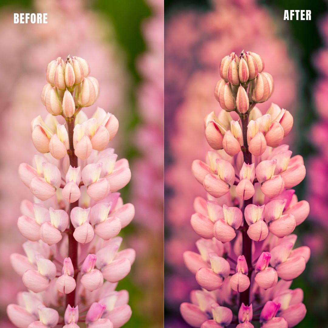 MPP - Pastels Preset Pack