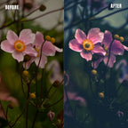 MPP - Water Color Preset Pack