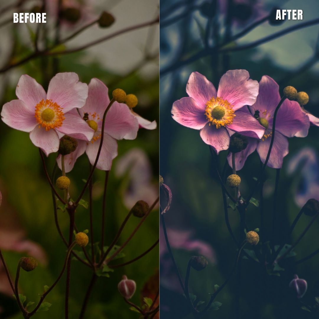 MPP - Water Color Preset Pack