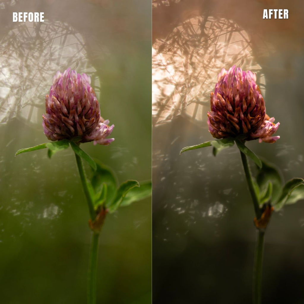 MPP - Natural Greentones with Warmth Preset Pack
