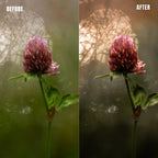 MPP - Natural Greentones with Warmth Preset Pack