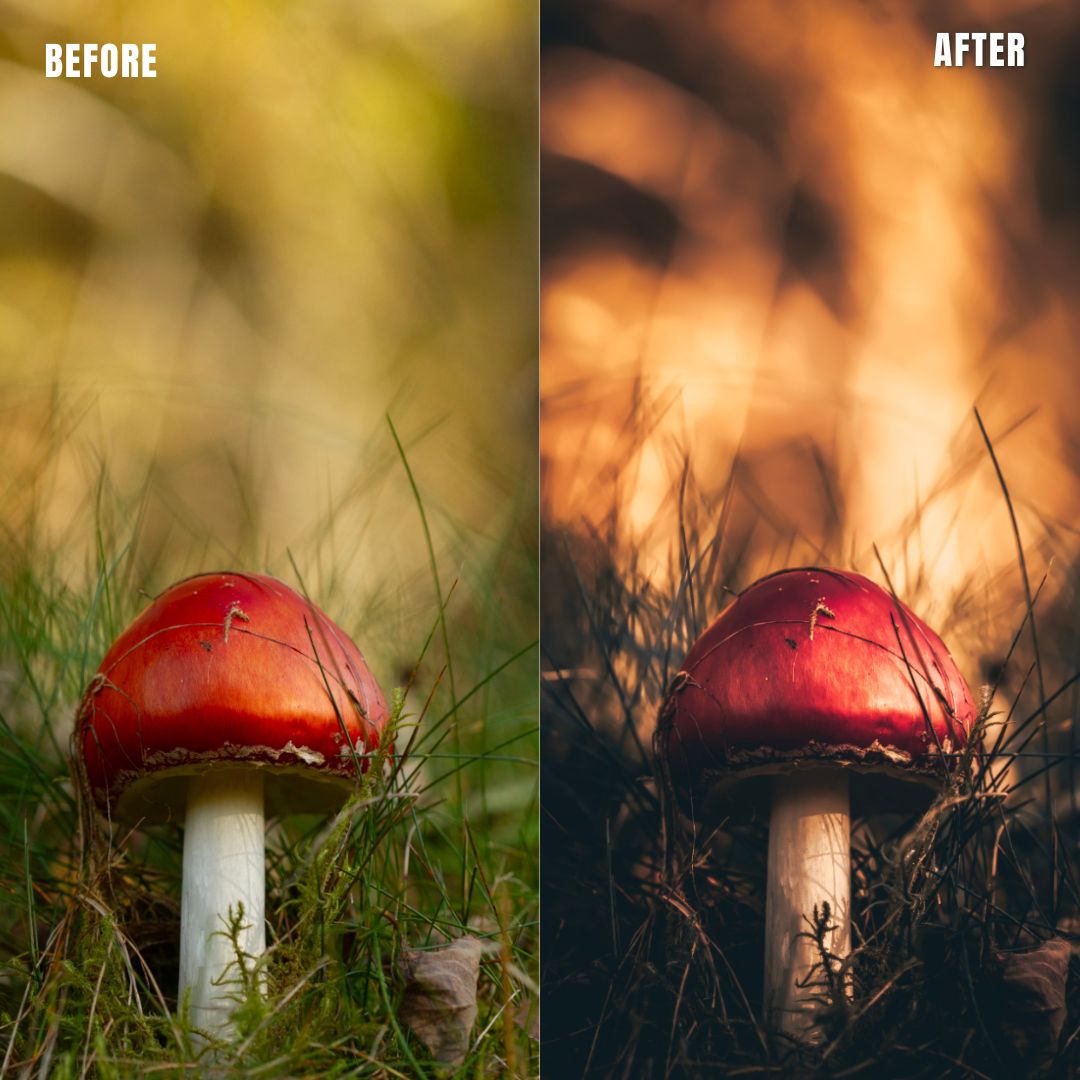 MPP - Golden Brownie Preset Pack