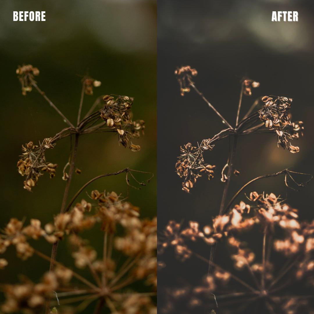 MPP - Dark Retro Preset Pack