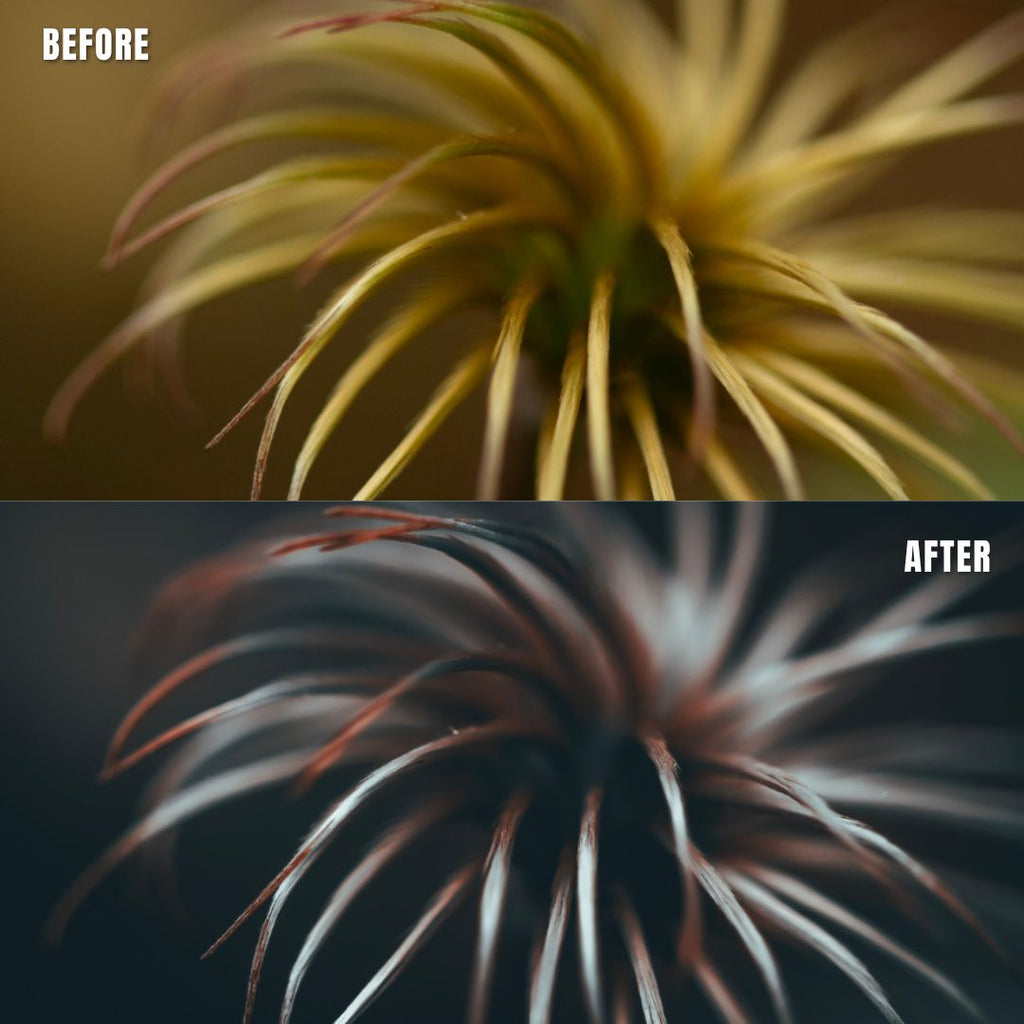 MPP - Moody BW Preset Pack