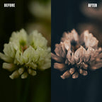 MPP - Brownie Preset Pack