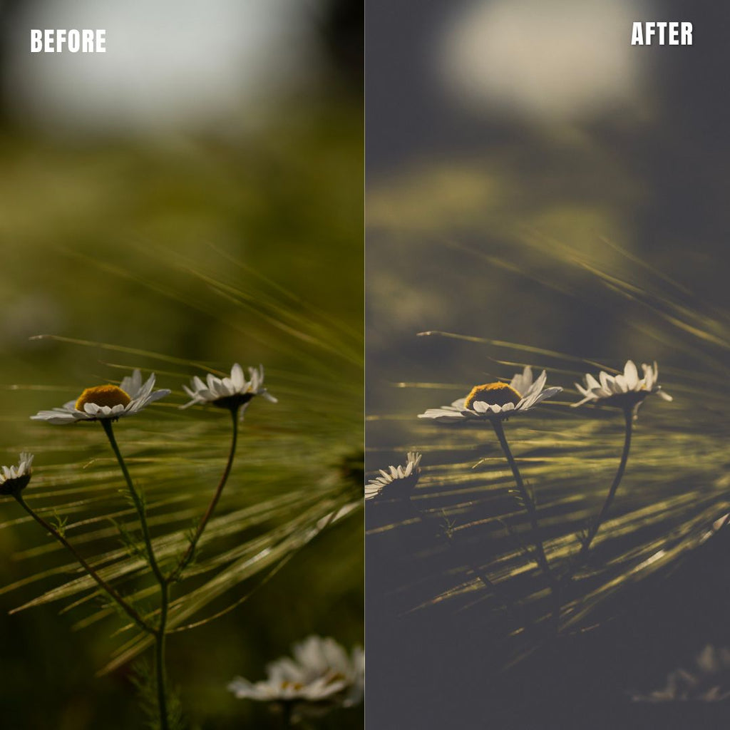 MPP - Polaroid Preset Pack