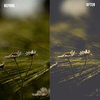 MPP - Polaroid Preset Pack