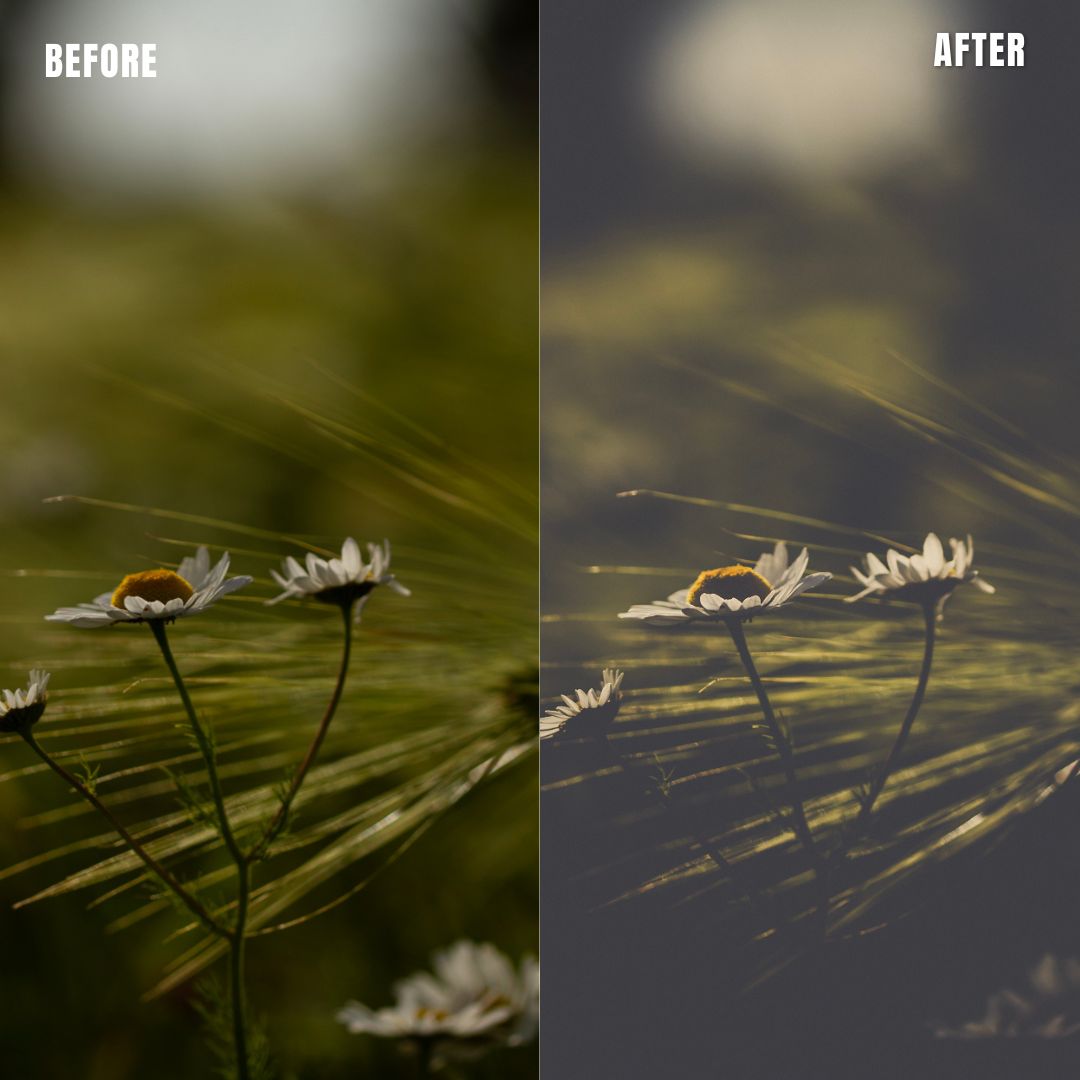 MPP - Polaroid Preset Pack