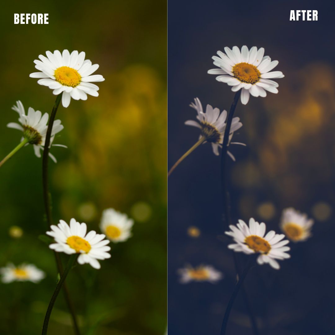 MPP - Moody Preset Pack