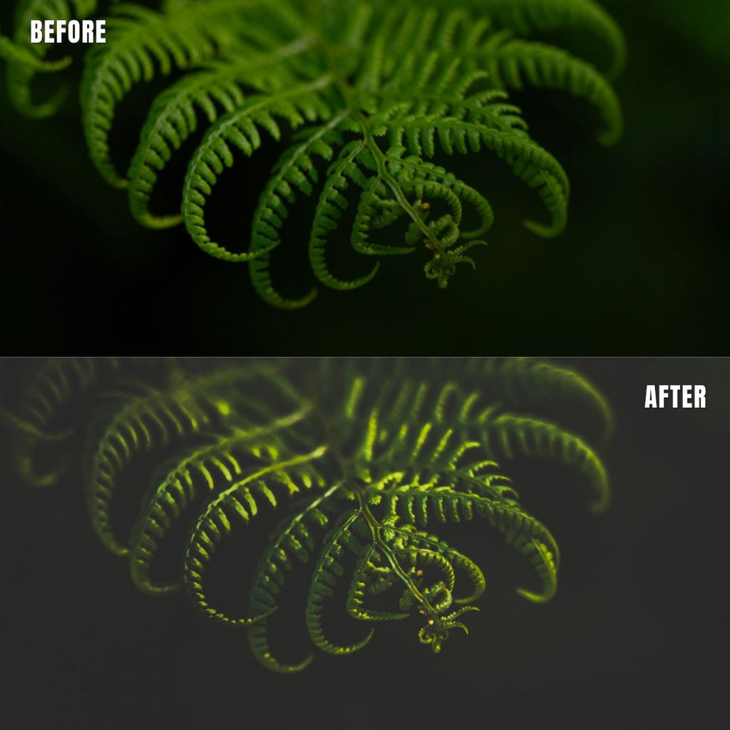 MPP - Dark Retro Greens Preset Pack