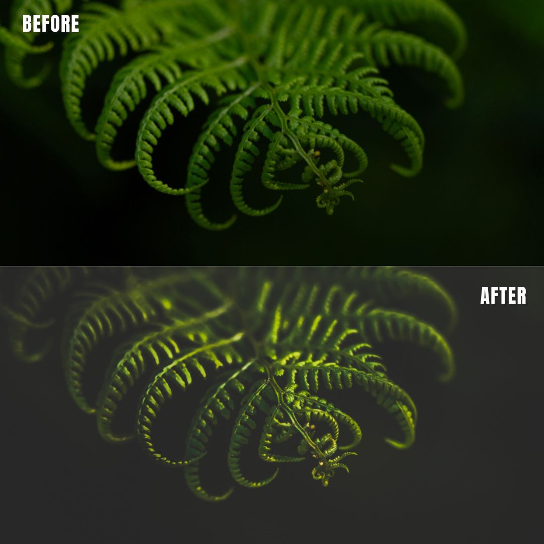 MPP - Dark Retro Greens Preset Pack