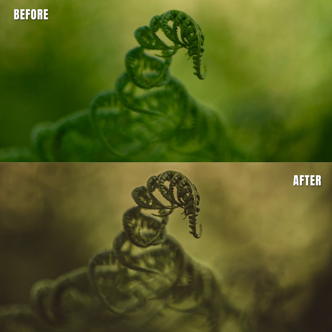 MPP - Earth Bound Preset Pack