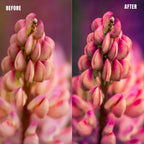 MPP - Pastels Preset Pack