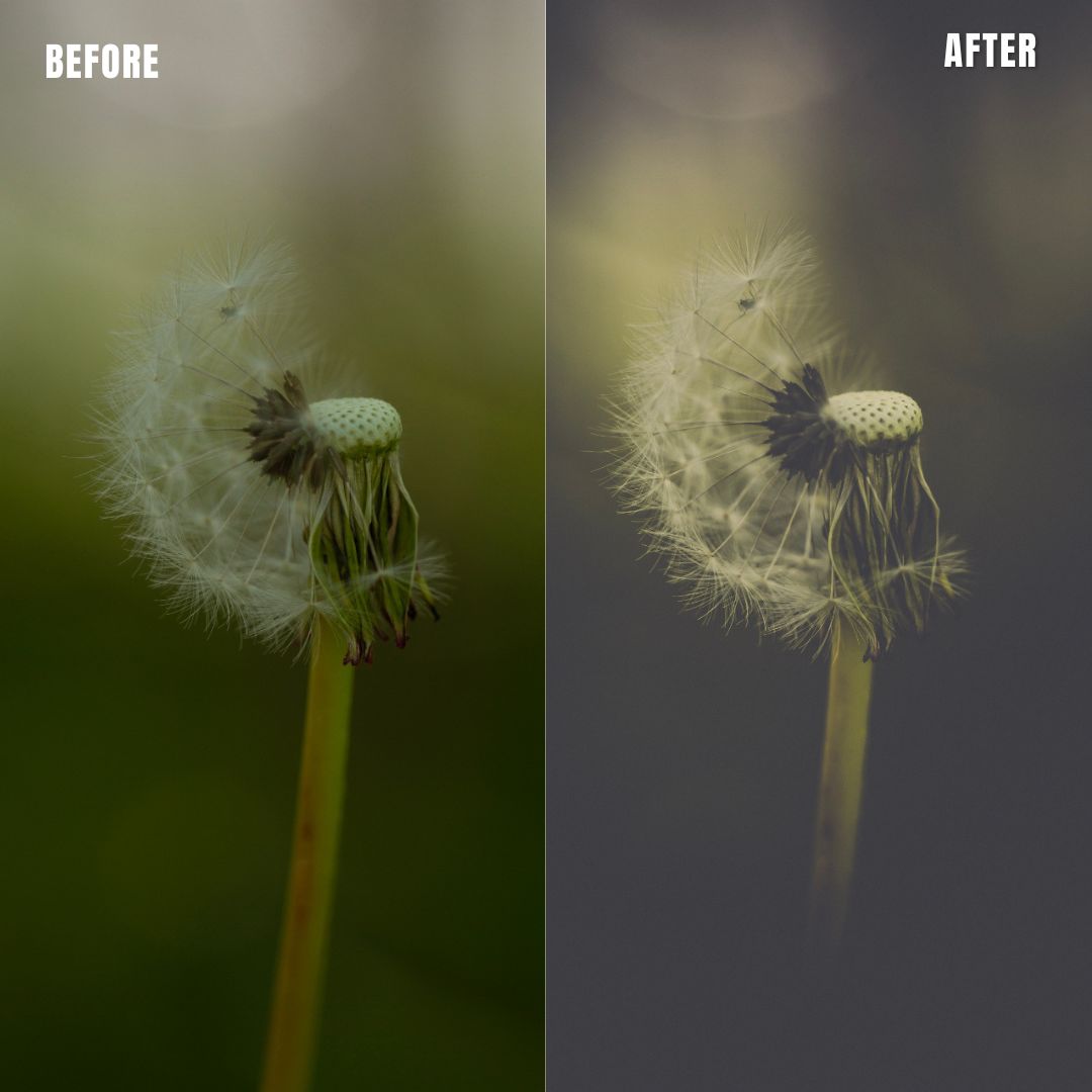 MPP - Polaroid Preset Pack