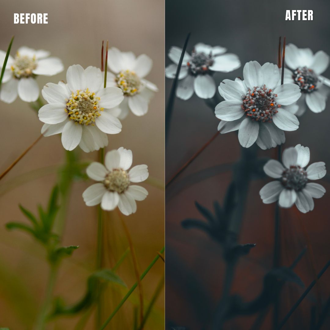 MPP - Deep BW with Reds Preset Pack