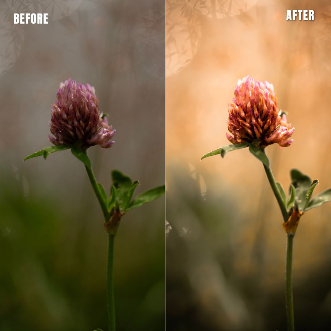 MPP - Natural Greentones with Warmth Preset Pack