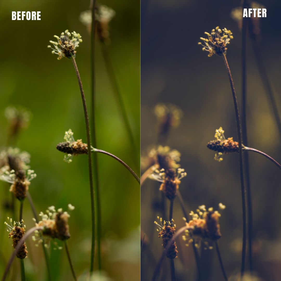 MPP - Moody Preset Pack