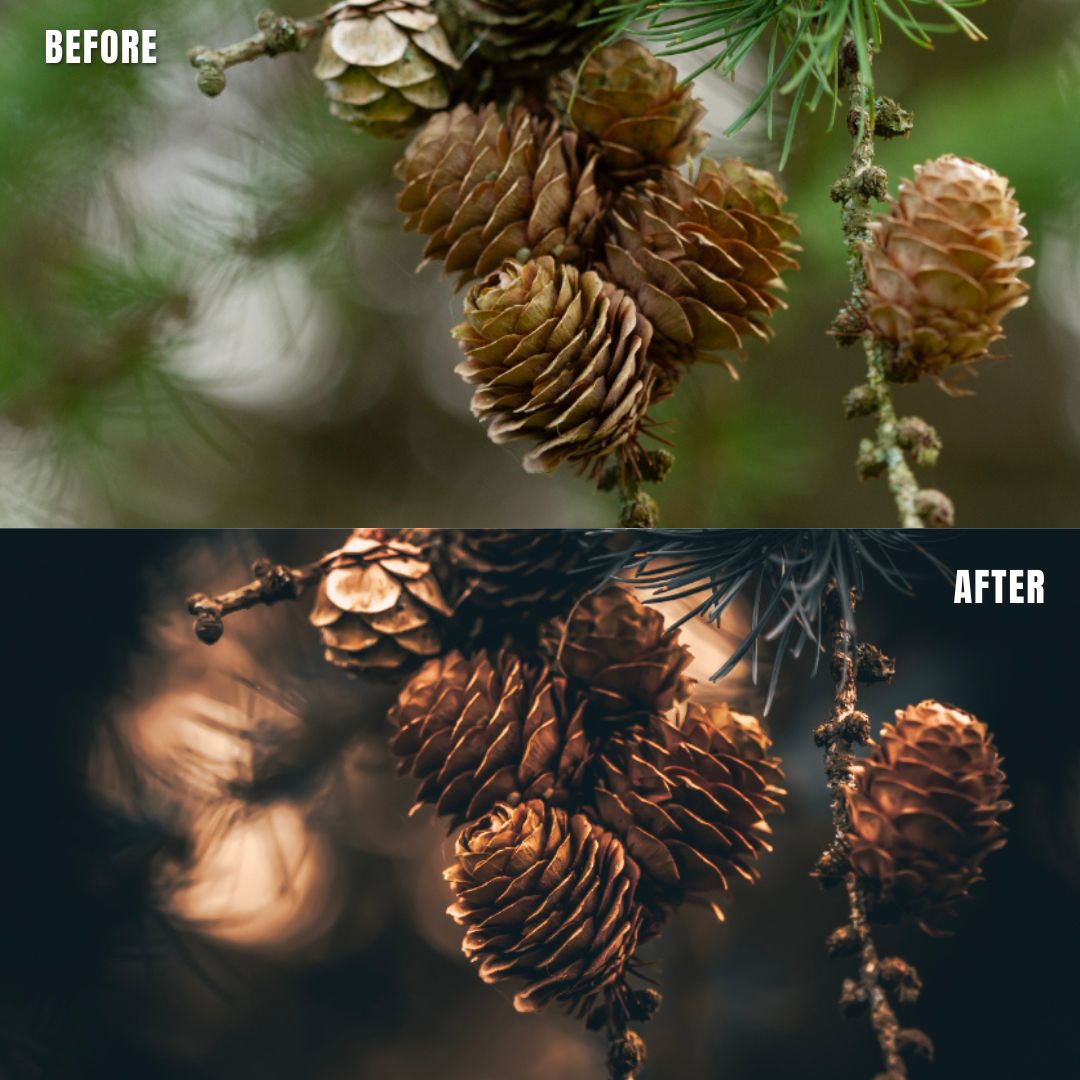 MPP - Golden Brownie Preset Pack