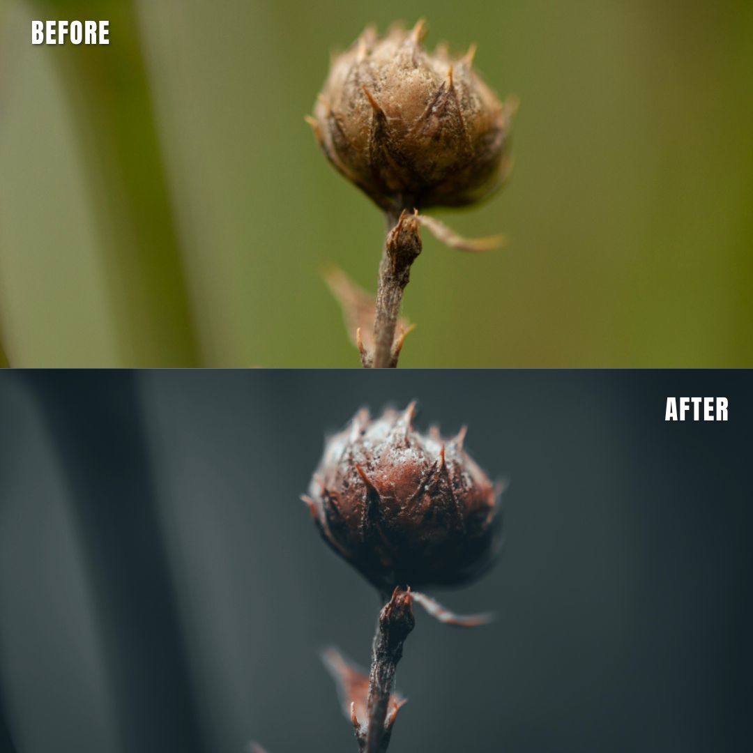 MPP - Moody BW Preset Pack