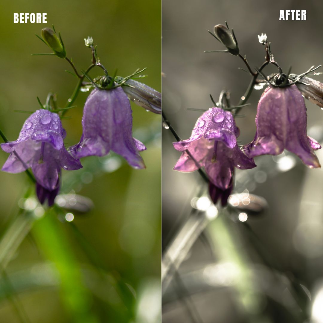 MPP - Muted Greens Preset Pack