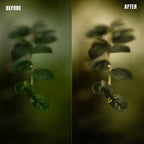 MPP - Rich Greens Preset Pack