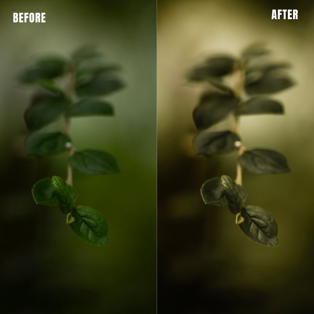 MPP - Rich Greens Preset Pack