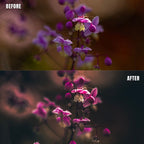 MPP - Brownie Preset Pack