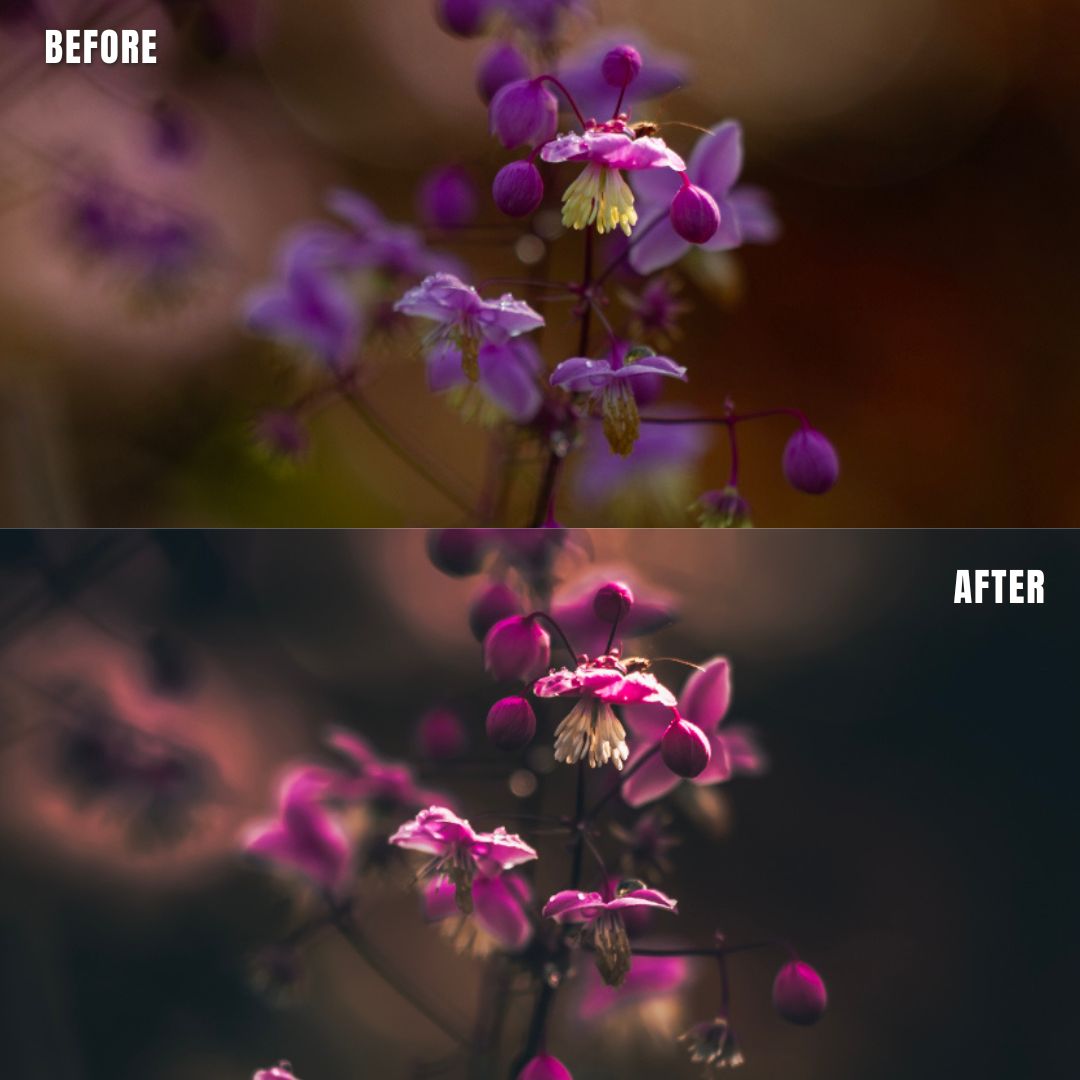 MPP - Brownie Preset Pack