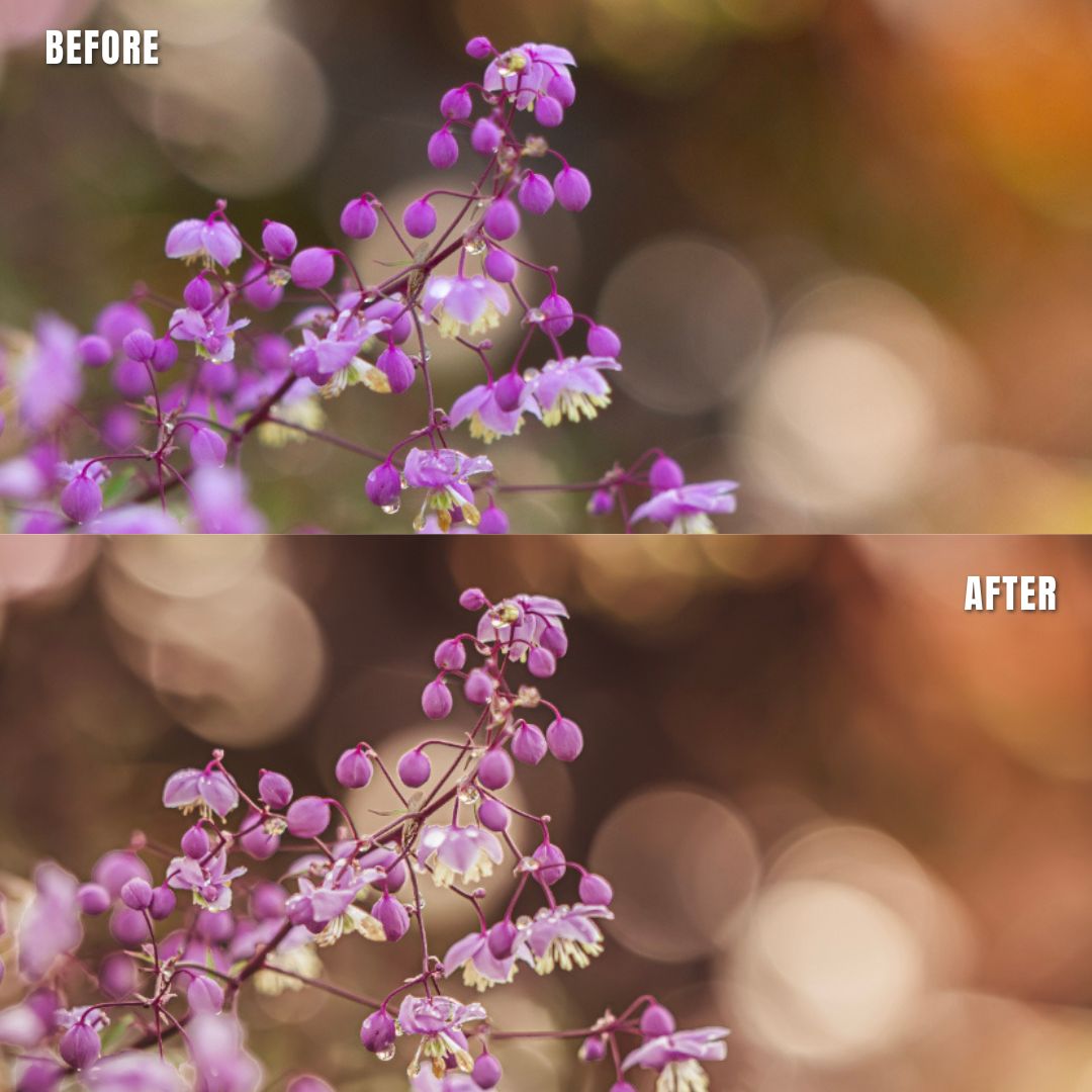 MPP - Earth Bound Preset Pack