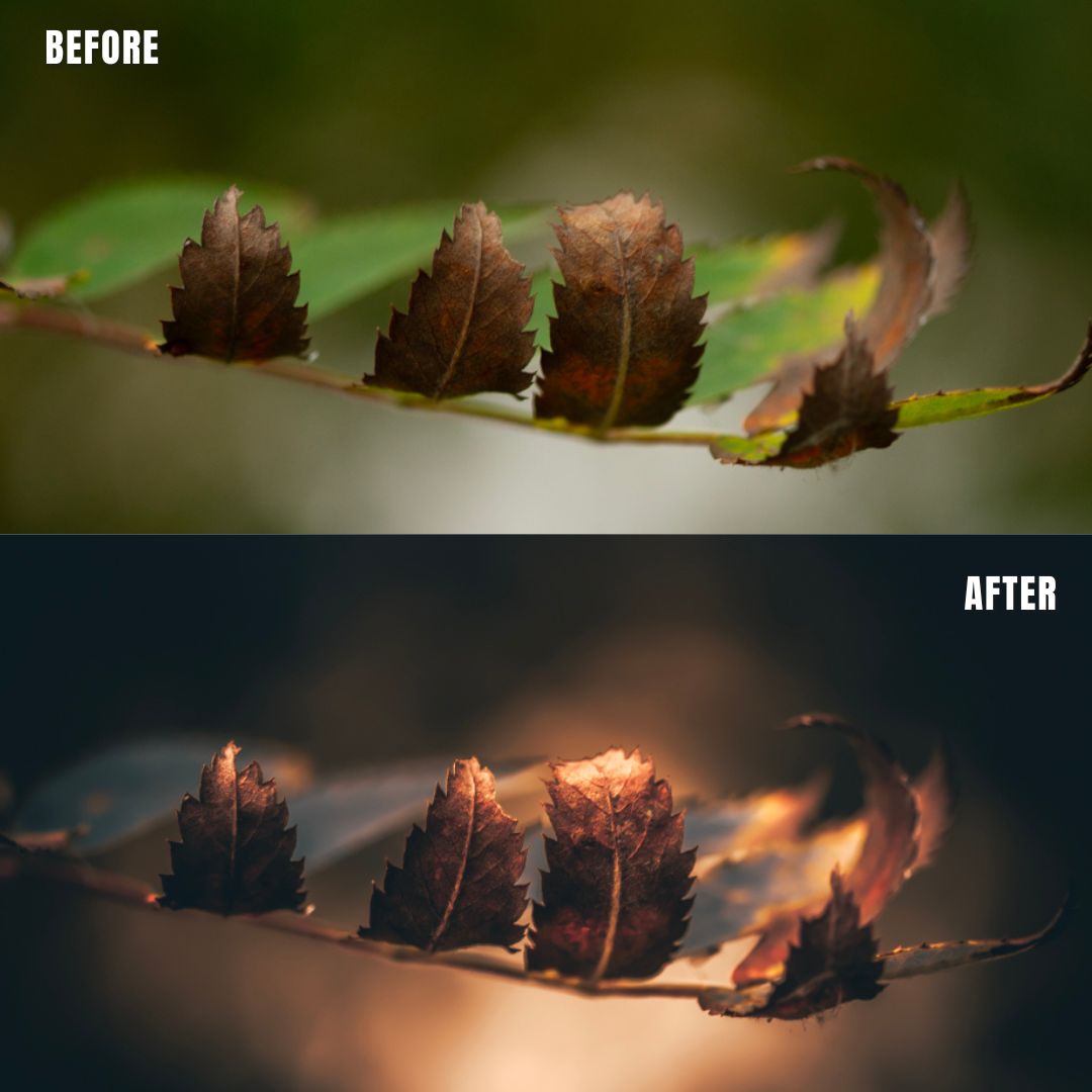 MPP - Golden Brownie Preset Pack