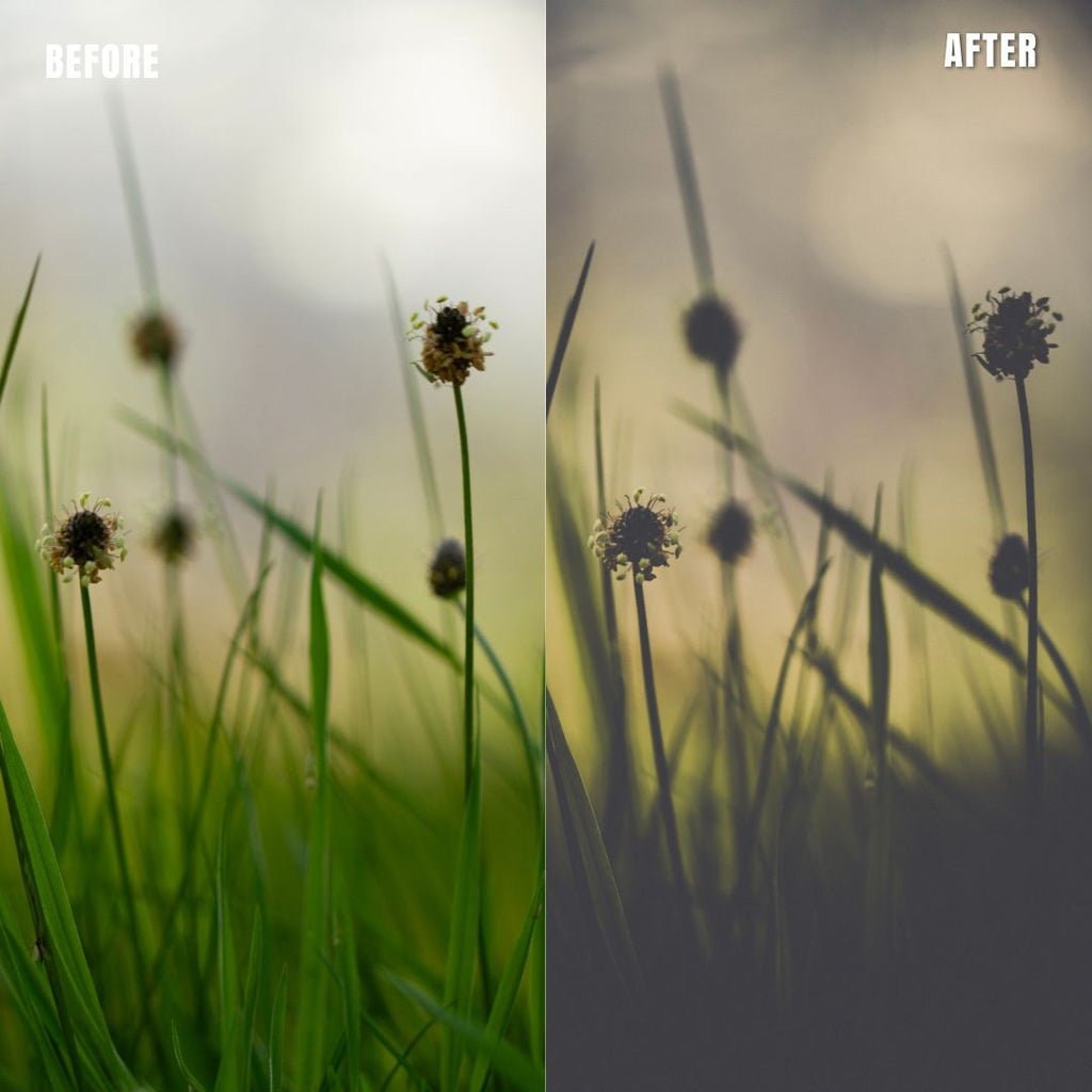 MPP - Polaroid Preset Pack
