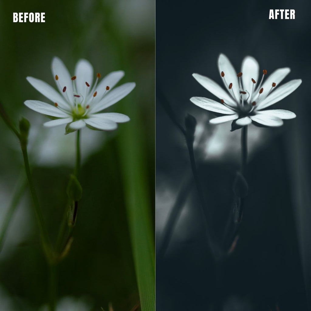 MPP - Deep BW with Reds Preset Pack