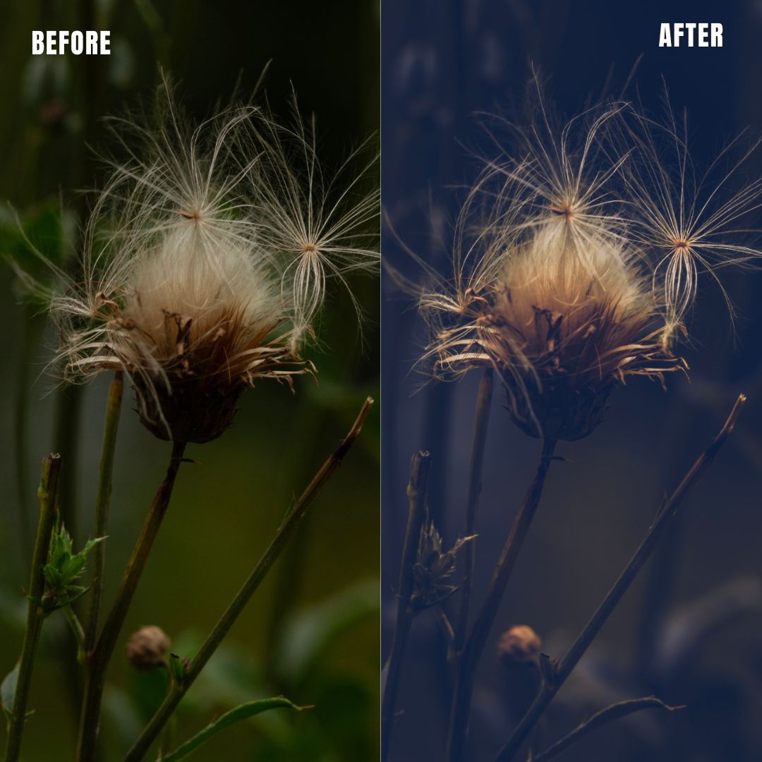 MPP - Moody Preset Pack