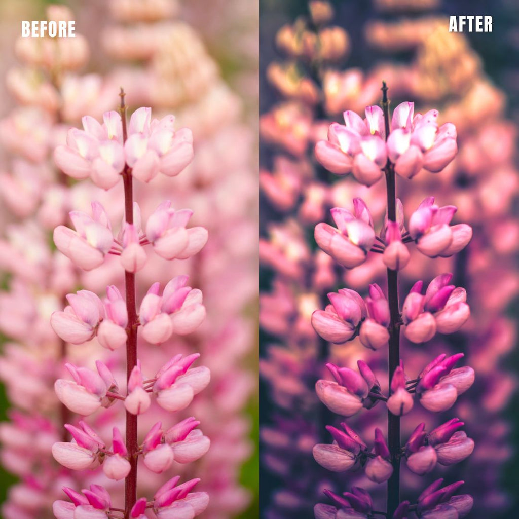 MPP - Water Color Preset Pack