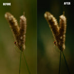MPP - Rich Greens Preset Pack