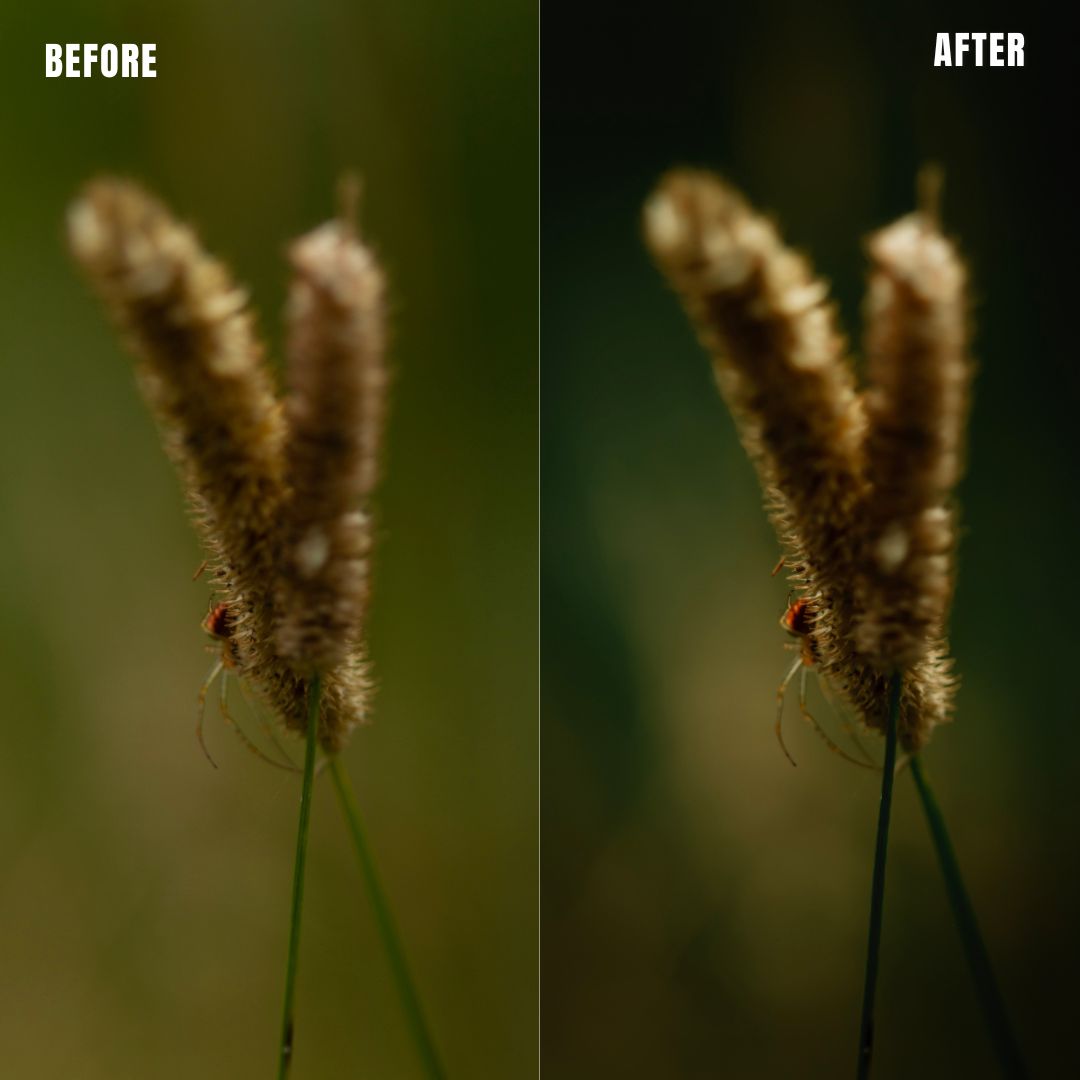 MPP - Rich Greens Preset Pack