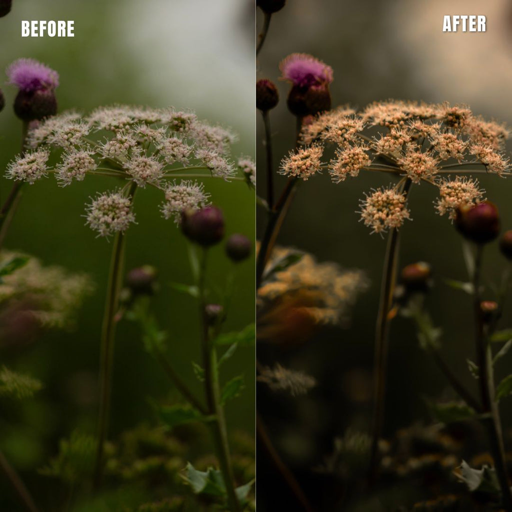 MPP - Natural Greentones with Warmth Preset Pack
