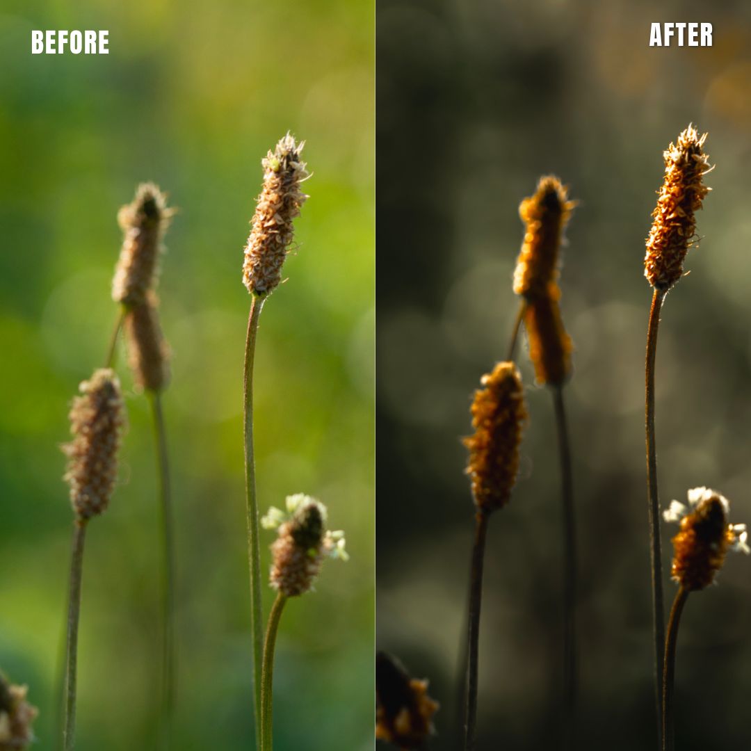 MPP - Muted Greens Preset Pack