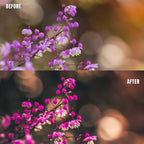 MPP - Brownie Preset Pack