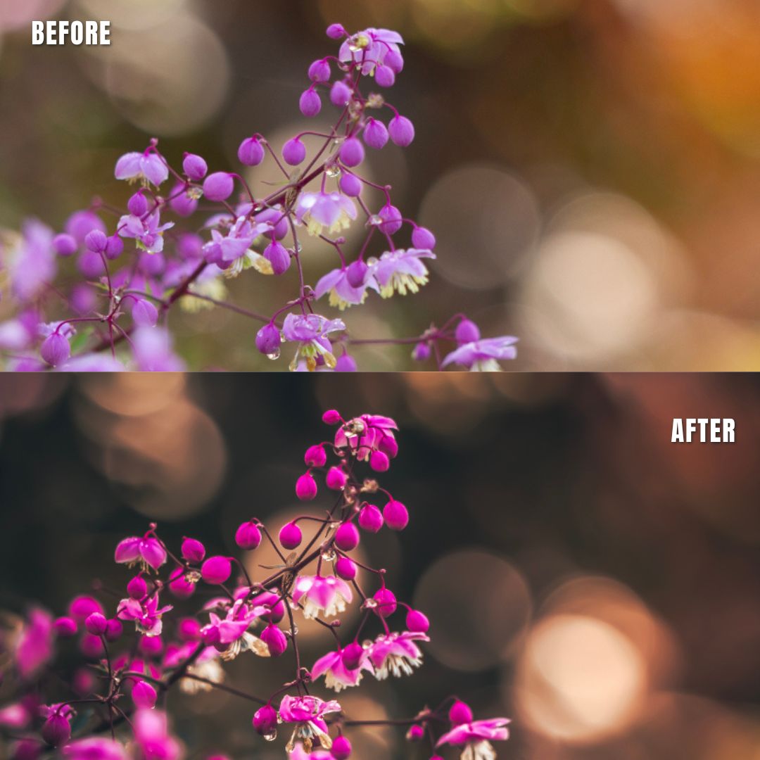 MPP - Brownie Preset Pack