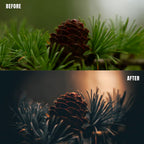 MPP - Golden Brownie Preset Pack