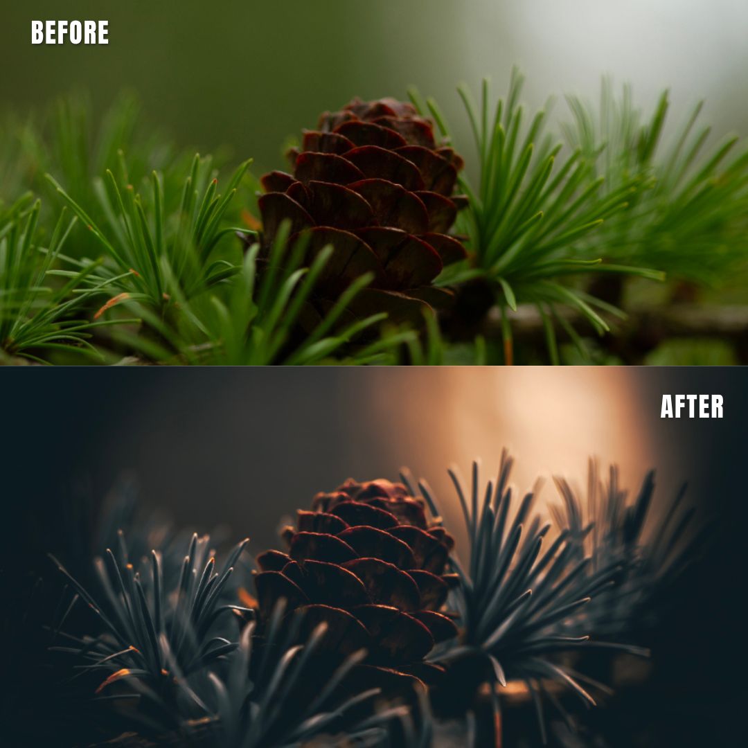 MPP - Golden Brownie Preset Pack