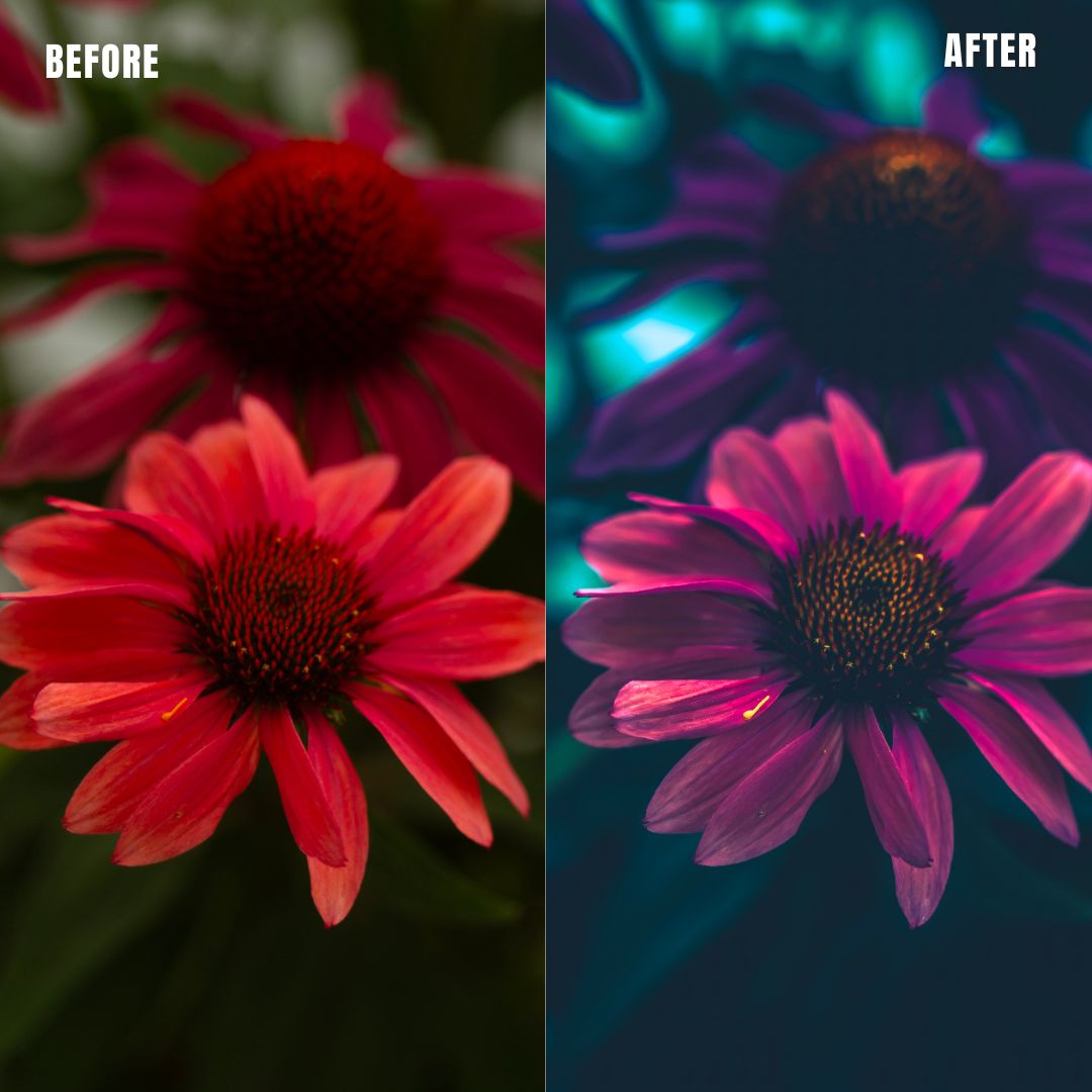 MPP - Water Color Preset Pack