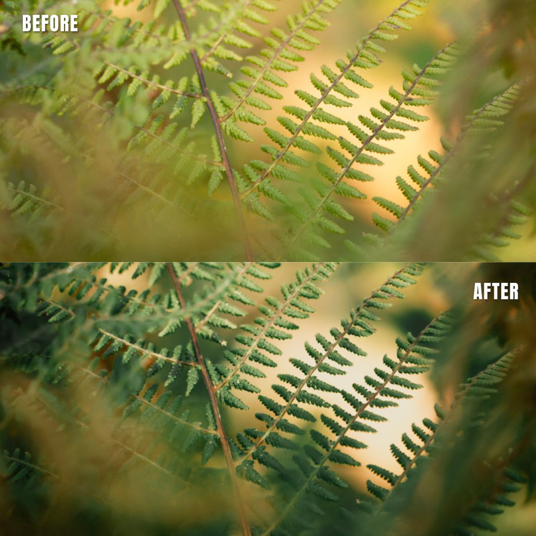 MPP - Rich Greens Preset Pack