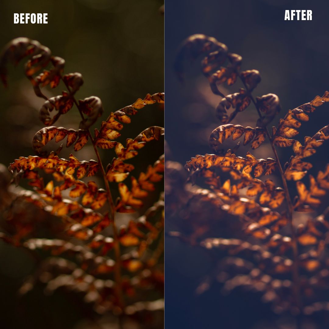 MPP - Moody Preset Pack