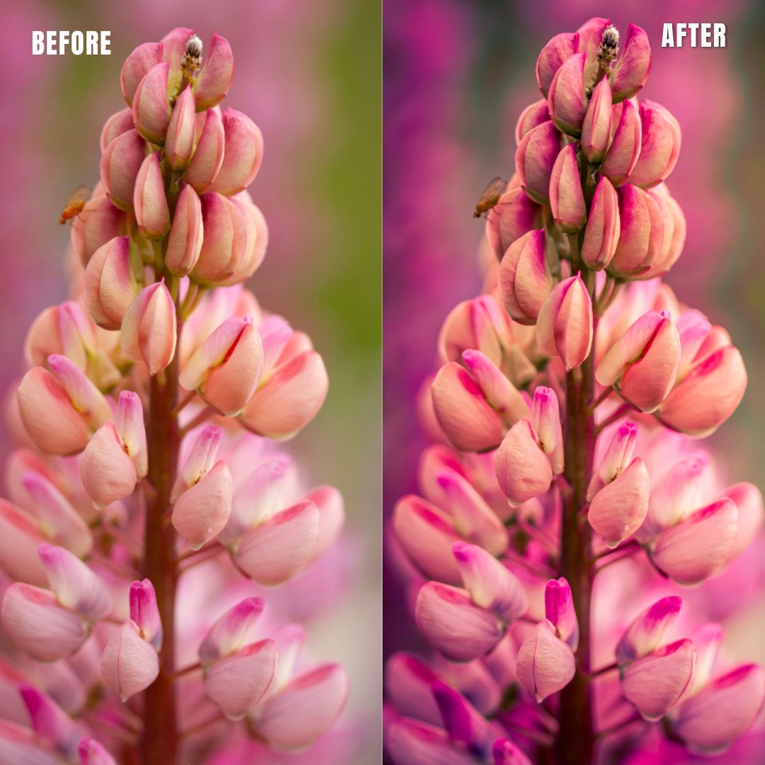 MPP - Pastels Preset Pack