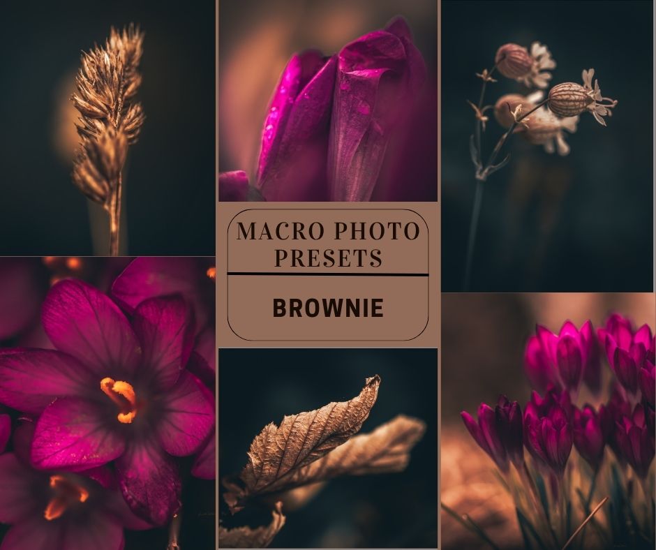 MPP - Brownie Preset Pack