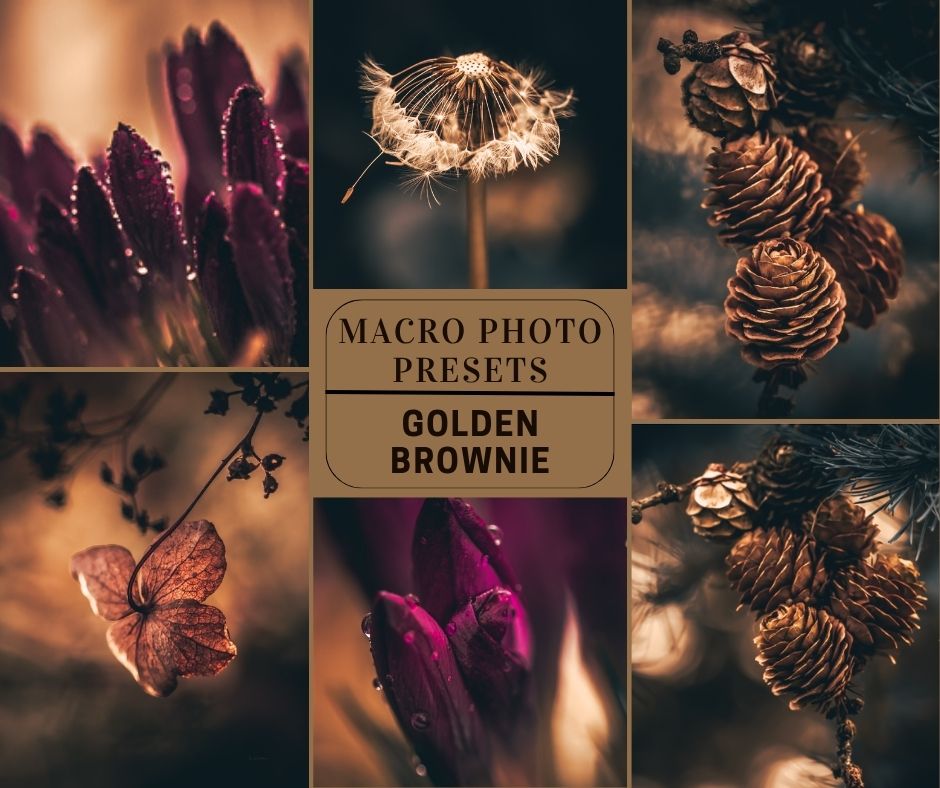 MPP - Golden Brownie Preset Pack
