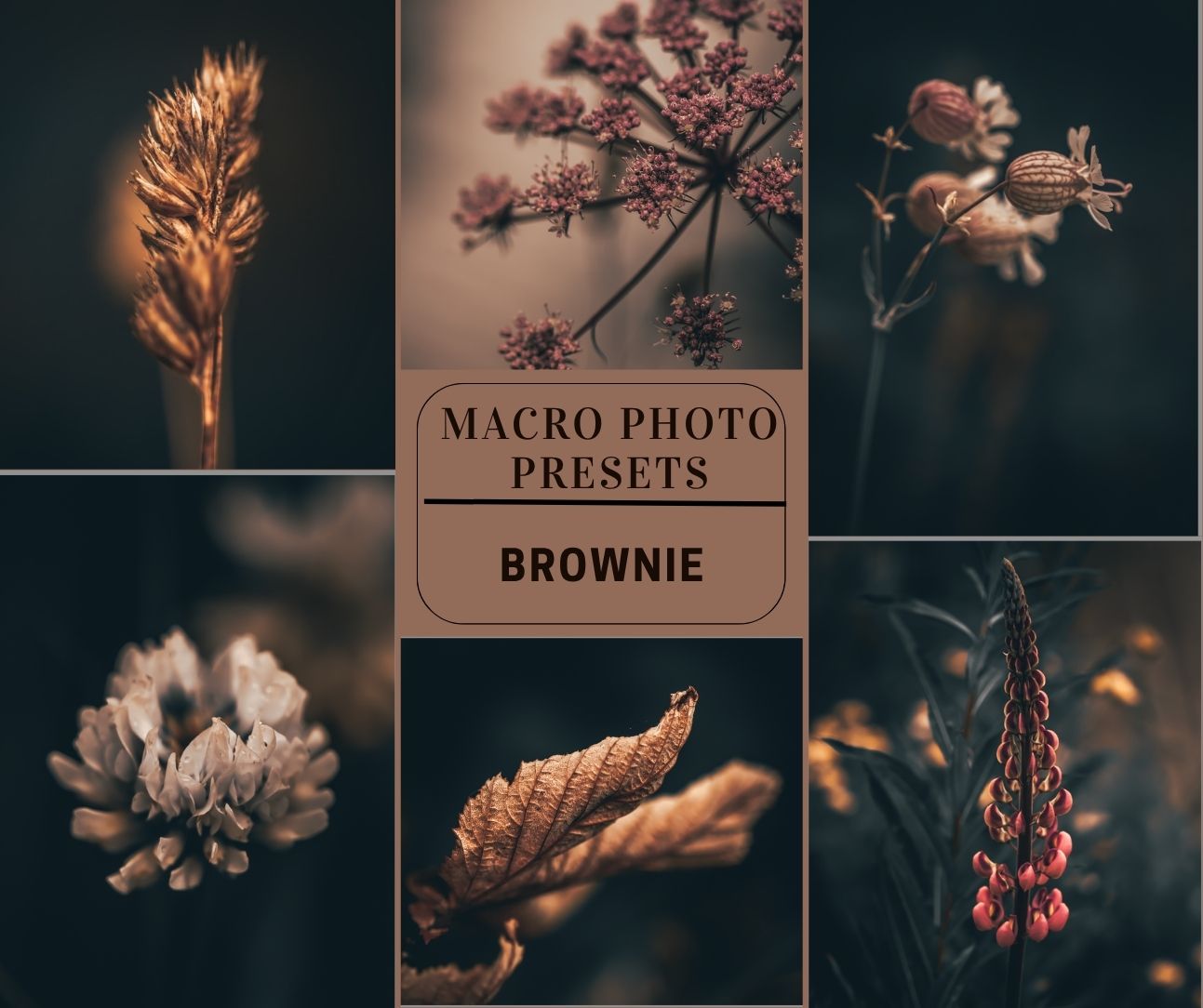 MPP - Brownie Preset Pack