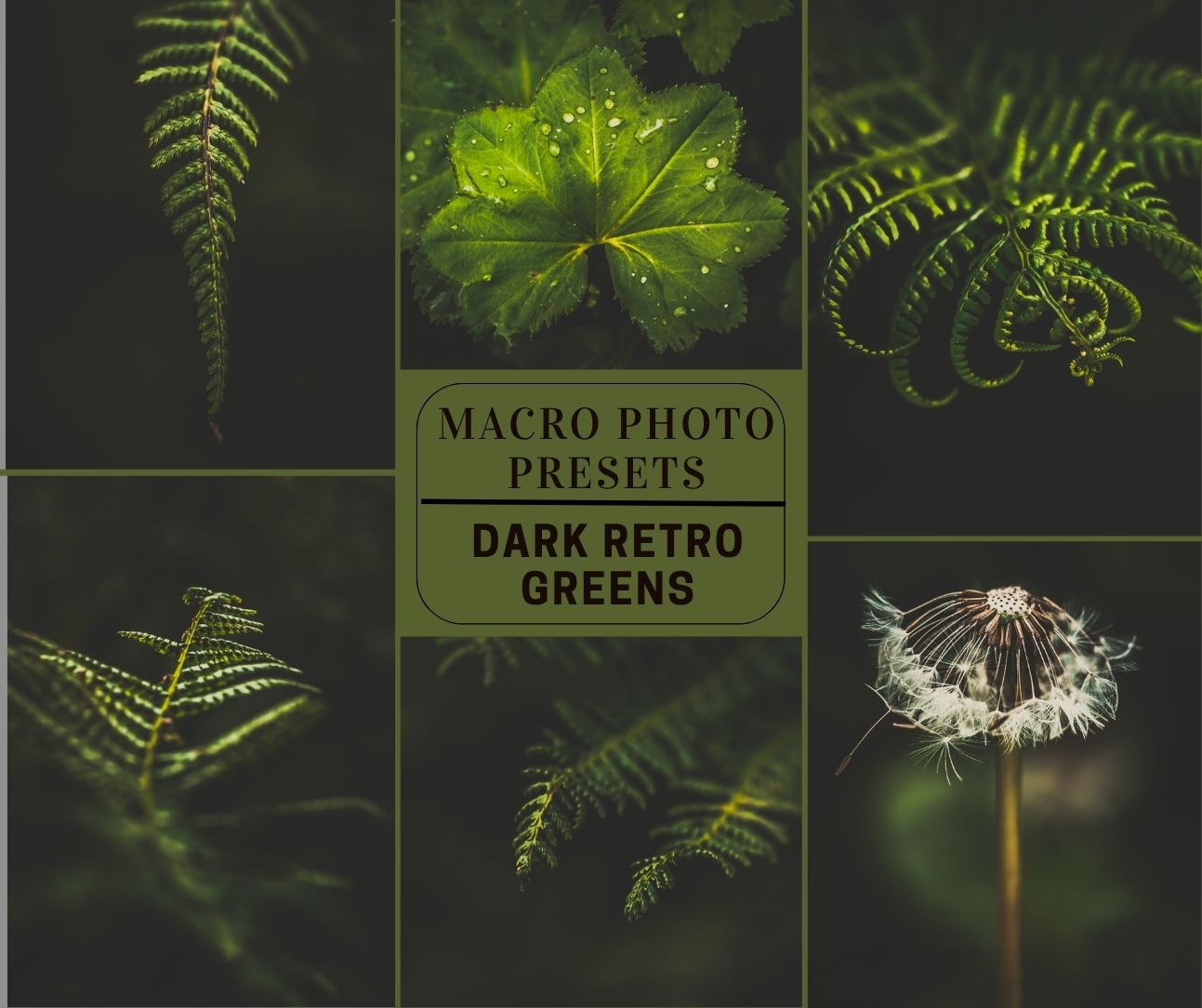 MPP - Dark Retro Greens Preset Pack